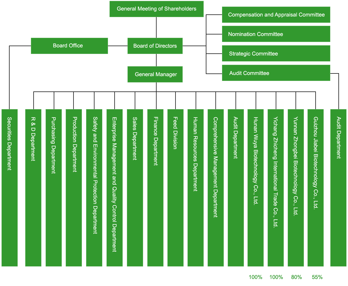 Organization Structure