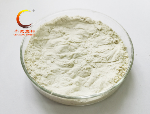 Octyl Gallate