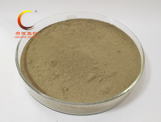 Ellagic Acid 90%