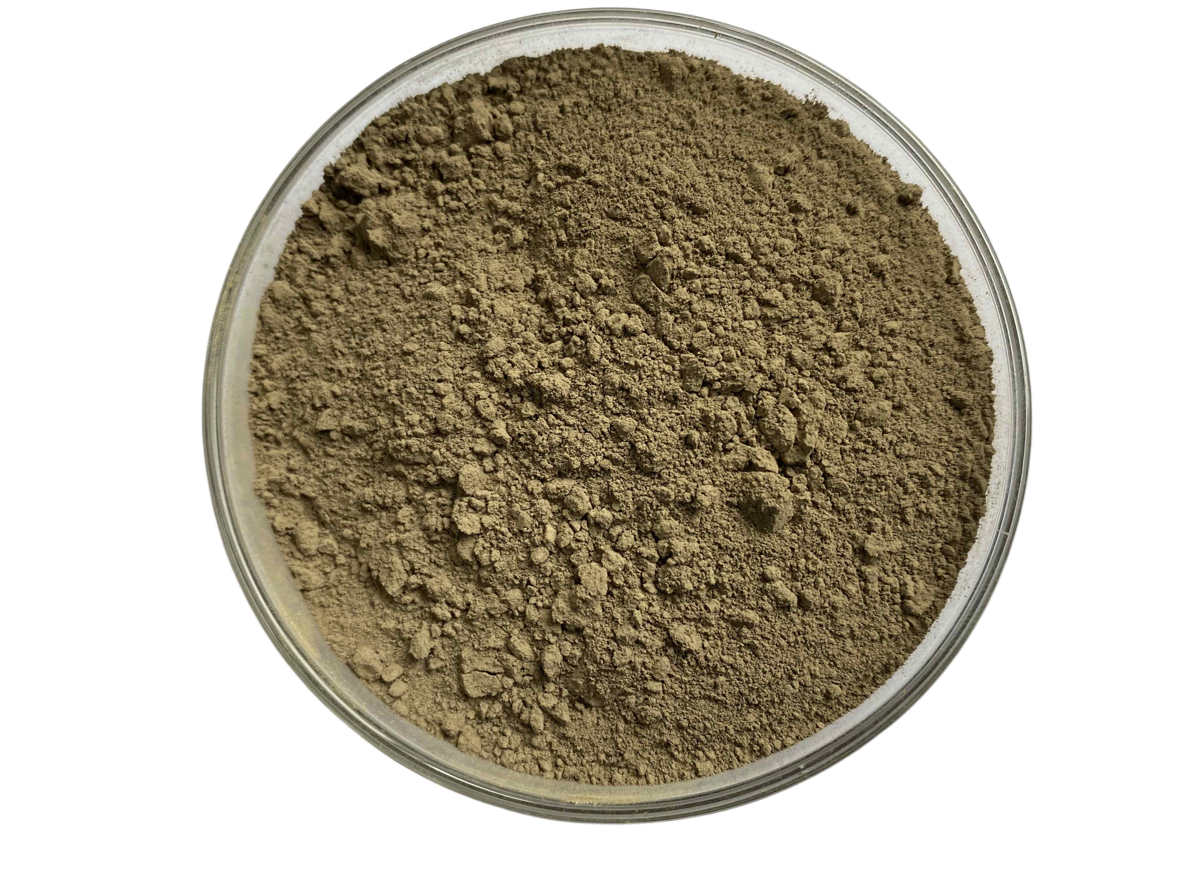 Ellagic Acid 70%