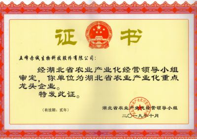 Key Leading Agricultural Industrialization Enterprise of Hubei Province