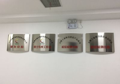 Organization Setup