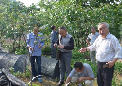 Hubei Academy of Forestry Dr. Chen Jingyuan (right) guiding base construction