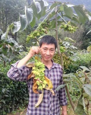 Wufeng Top-notch Local Talent Yan Gaohong at the base