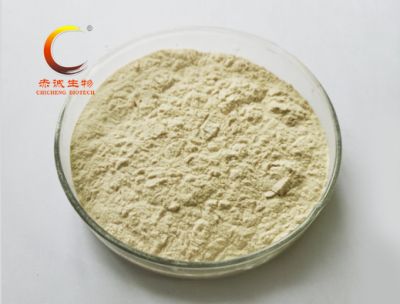 Food Grade Tannic Acid