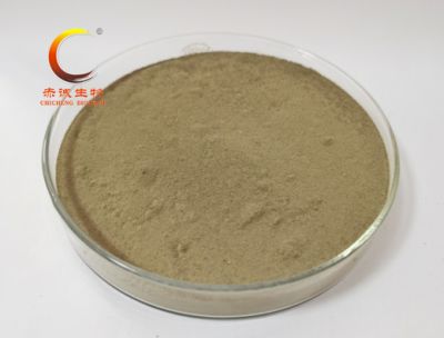 Ellagic Acid 98%